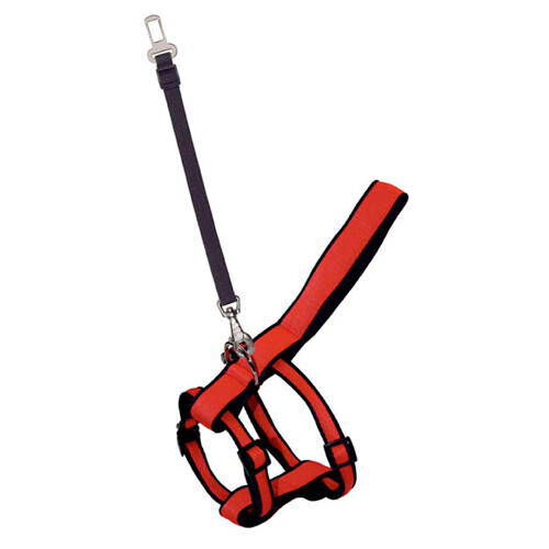 Arppe arn&eacute;s y cintur&oacute;n de seguridad para coche Imagem n&uacute;mero 1