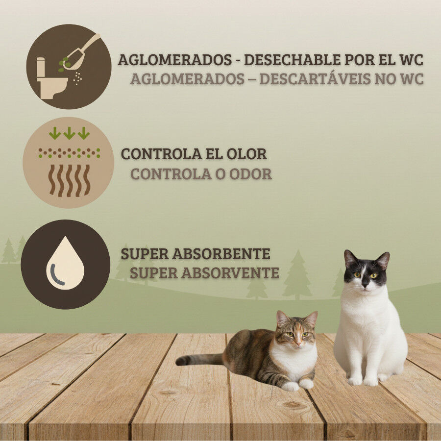 10 L TK-Pet Areia Natural Aglomerante para gatos, , large Imagem n&uacute;mero 3