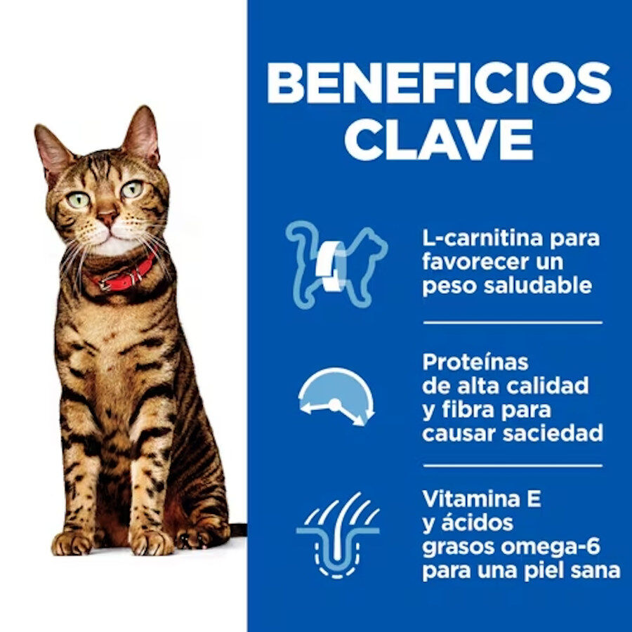 24 saquetas x 85 g Hill's Science Plan Light Adult Blue Fish and Chicken in Sauce sach&ecirc; para gatos Pack poupan&ccedil;a!, , large Imagem n&uacute;mero 2