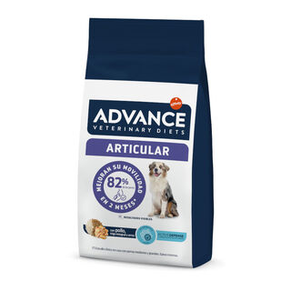 Advance Veterinary Diets Articular Frango ração para cães