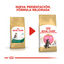 10 kg Royal Canin Kitten Maine Coon ração para gatinhos, , large Indicador imagem número 3