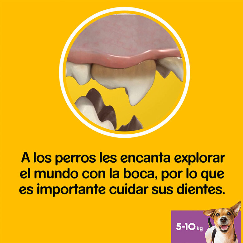 56 sticks Pedigree Dentastix Snacks Dentários para cães de porte pequeno,  Imagem número 6 56 sticks Pedigree Dentastix Snacks Dentários para cães de porte pequeno, , large Imagem número 6