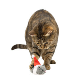 Wonder Christmas Rato Pai Natal brinquedo para gatos