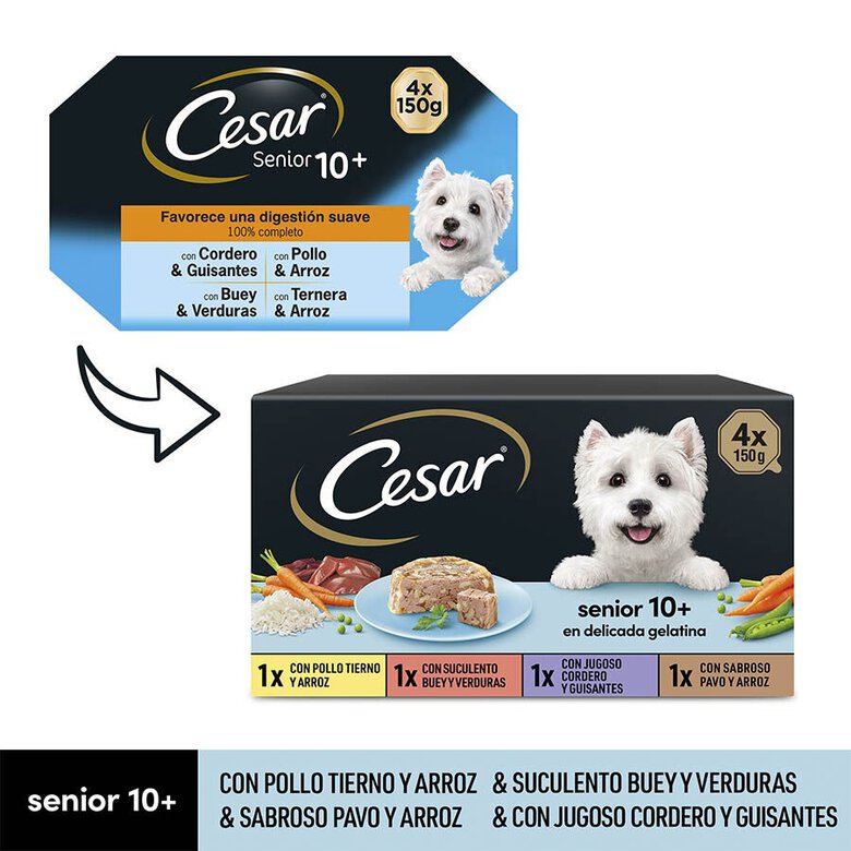 4 terrinas x 150 g Cesar Mistura de Carnes Terrina em Geleia para Cães Sénior - Multipack,  Imagem número 2 4 terrinas x 150 g Cesar Mistura de Carnes Terrina em Geleia para Cães Sénior - Multipack, , large Imagem número 2
