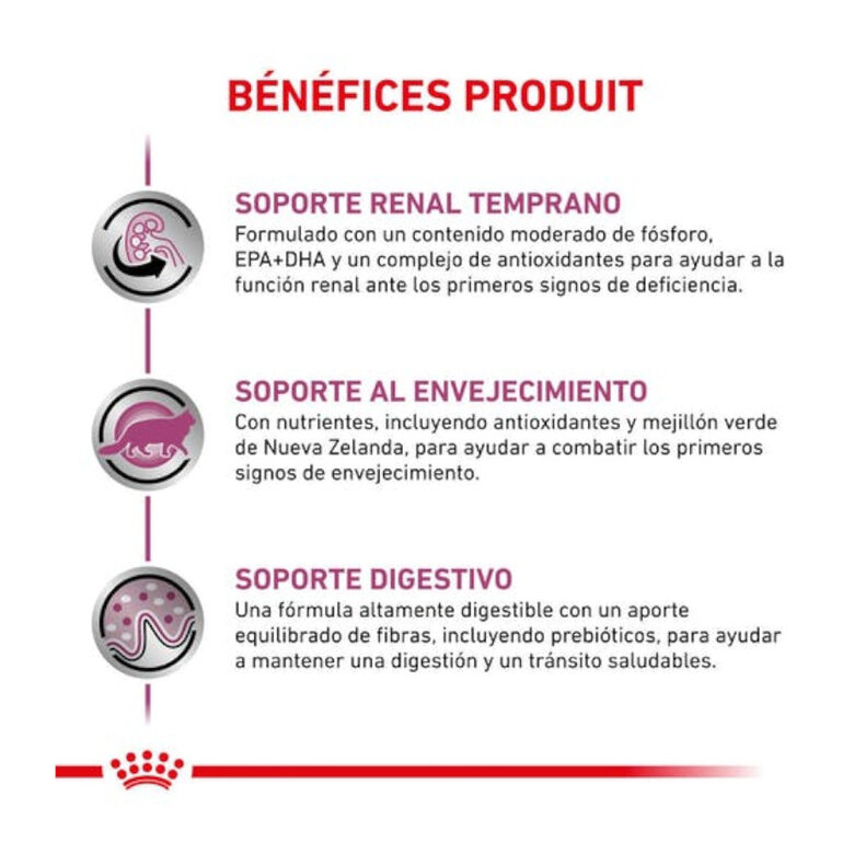 Royal Canin Early Renal ração para gatos, , large image number null