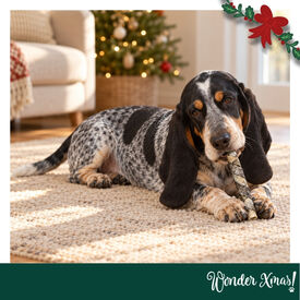 Wonder Christmas Palitos de Peixe Snack para c&atilde;o