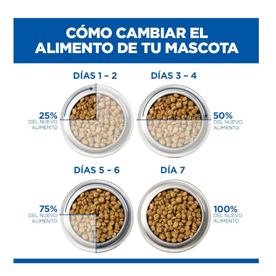 7 kg Hill's Science Plan Adult Ra&ccedil;&atilde;o de salm&atilde;o para gatos, , large Imagem n&uacute;mero 12