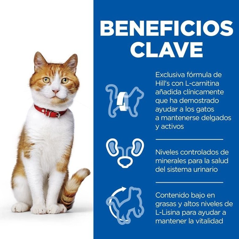 85 g Hill's Young Adult Science Plan Sterilized Frango saqueta para gatos,  Imagem número 3 85 g Hill's Young Adult Science Plan Sterilized Frango saqueta para gatos, , large Imagem número 3