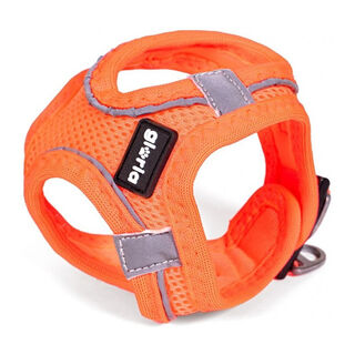 Gloria Ar Air Mesh Trek Star Peitoral/Vestuário laranja para cães