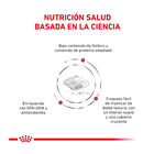 Royal Canin Veterinary Renal Select ração para gatos , , large image number null