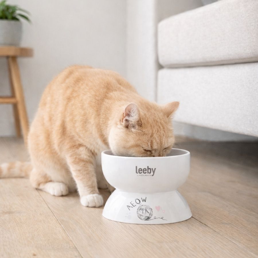 Leeby Comedouro Elevado de Cer&acirc;mica Branco para Gatos, , large Imagem n&uacute;mero 1