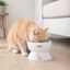 Leeby Comedouro Elevado de Cer&acirc;mica Branco para Gatos, , large Indicador imagem n&uacute;mero 1