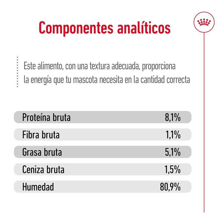 140 g Royal Canin Maxi Ageing saqueta em molho para c&atilde;es, , large Imagem n&uacute;mero 6