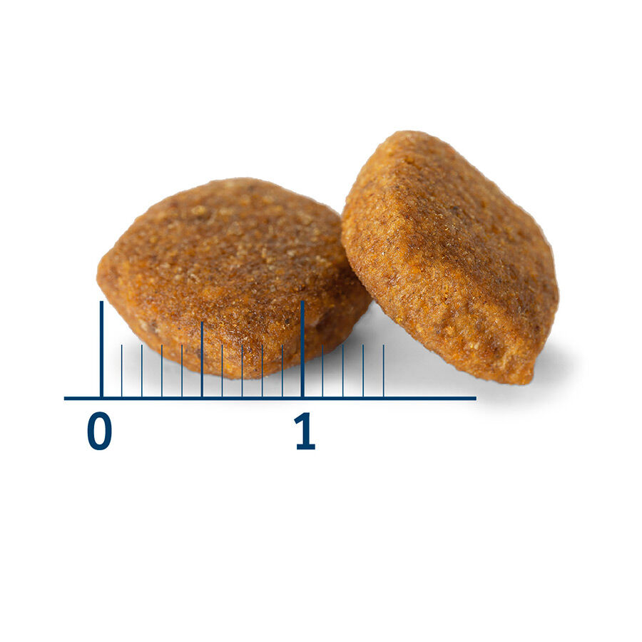 12 kg Nath Adult Medium / Maxi Sensitive Peixe Branco e Salm&atilde;o ra&ccedil;&atilde;o para c&atilde;es, , large Imagem n&uacute;mero 3