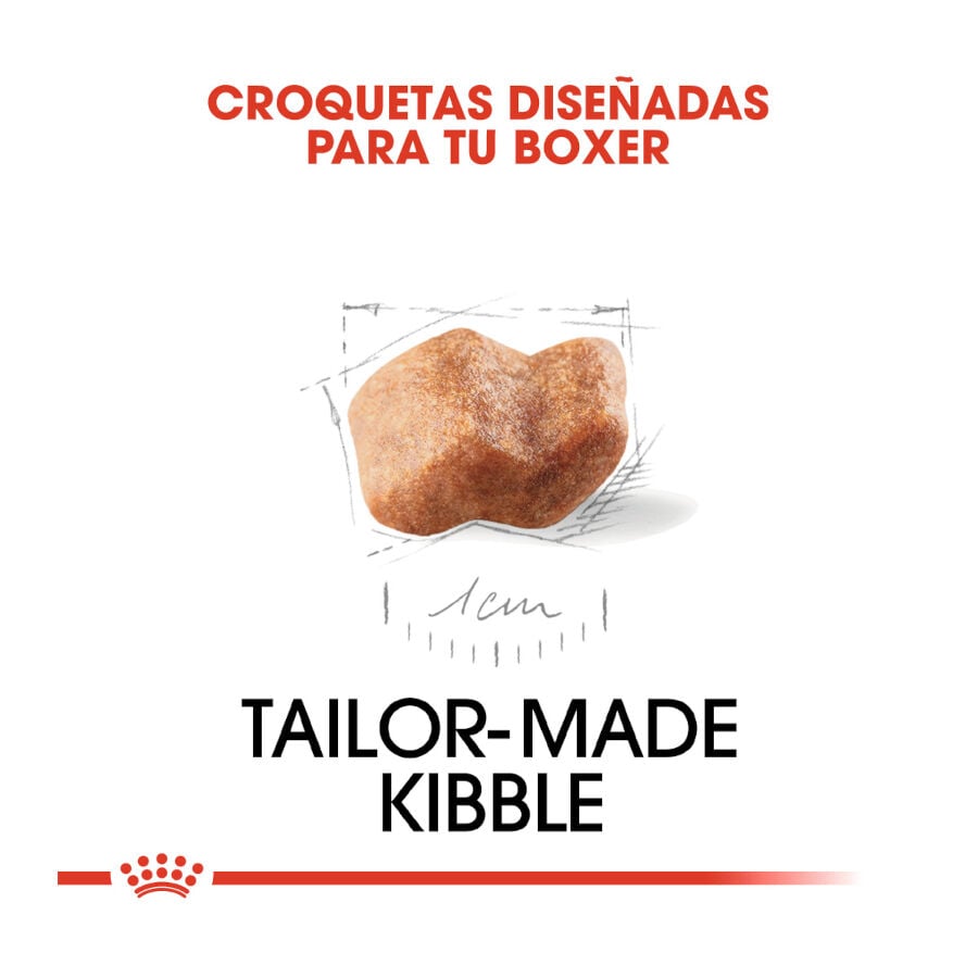 Royal Canin Puppy Boxer ra&ccedil;&atilde;o para c&atilde;es, , large Imagem n&uacute;mero 5