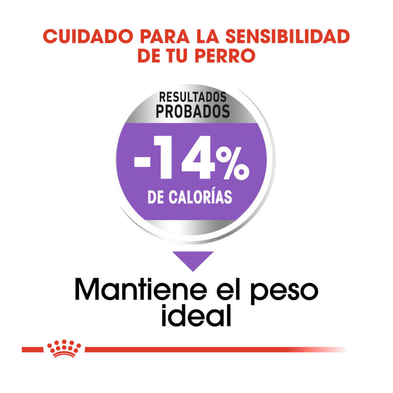 Royal Canin Mini Sterilised ração para cães, , large image number null