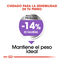 2 x 8 kg Royal Canin Mini Sterilised ração para cães Pack poupança!, , large Indicador imagem número 6
