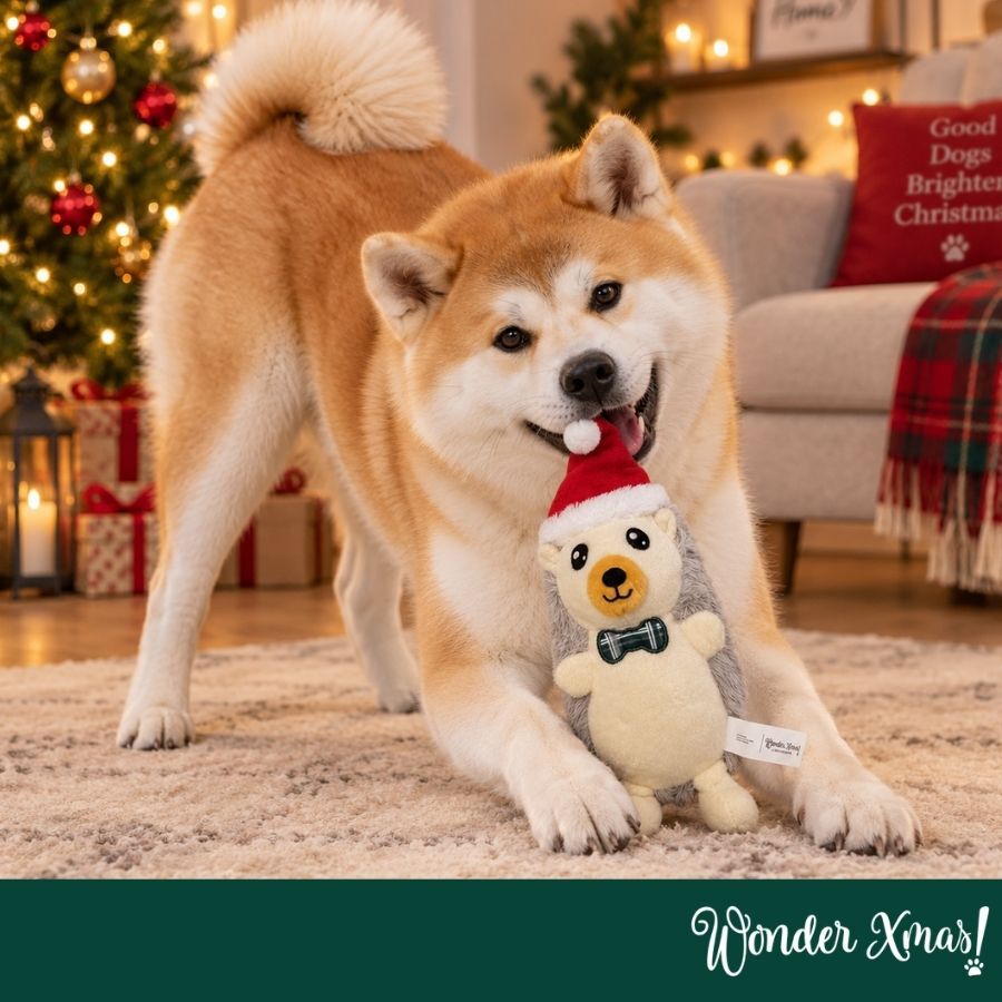 Wonder Christmas Ouri&ccedil;o Peluche para c&atilde;es, , large Imagem n&uacute;mero 2