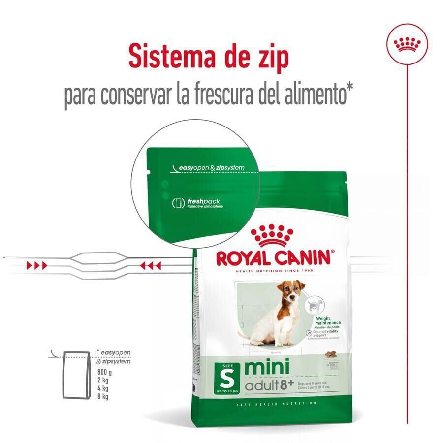 8 kg Royal Canin Mini 8+ Adult ra&ccedil;&atilde;o para c&atilde;es, , large Imagem n&uacute;mero 4