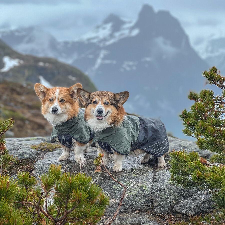 Non-stop dogwear Fjord Capa de chuva imperme&aacute;vel preto e verde para c&atilde;es, , large Imagem n&uacute;mero 5