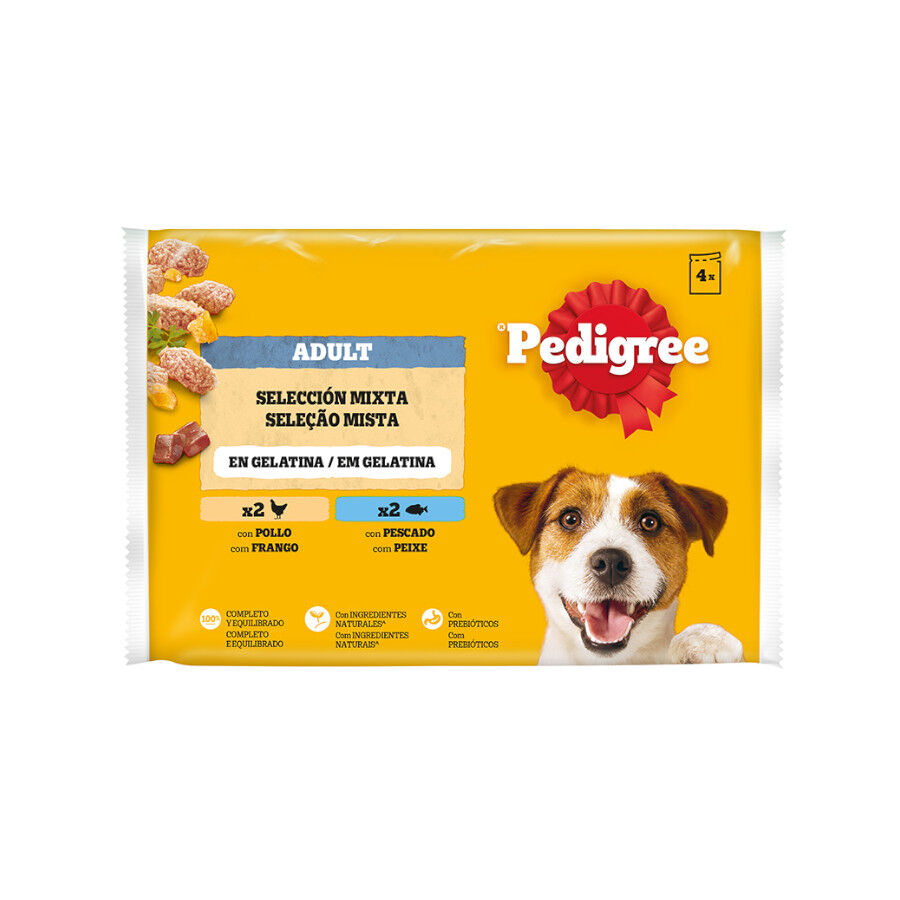 4 saquetas x 100 g Pedigree Alimento h&uacute;mido de frango e peixe para c&atilde;es, , large Imagem n&uacute;mero 1