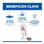 363 g Hill's Science Plan Hypoallergenic Alimento H&uacute;mido com Salm&atilde;o para C&atilde;es Adultos, , large Indicador imagem n&uacute;mero 4