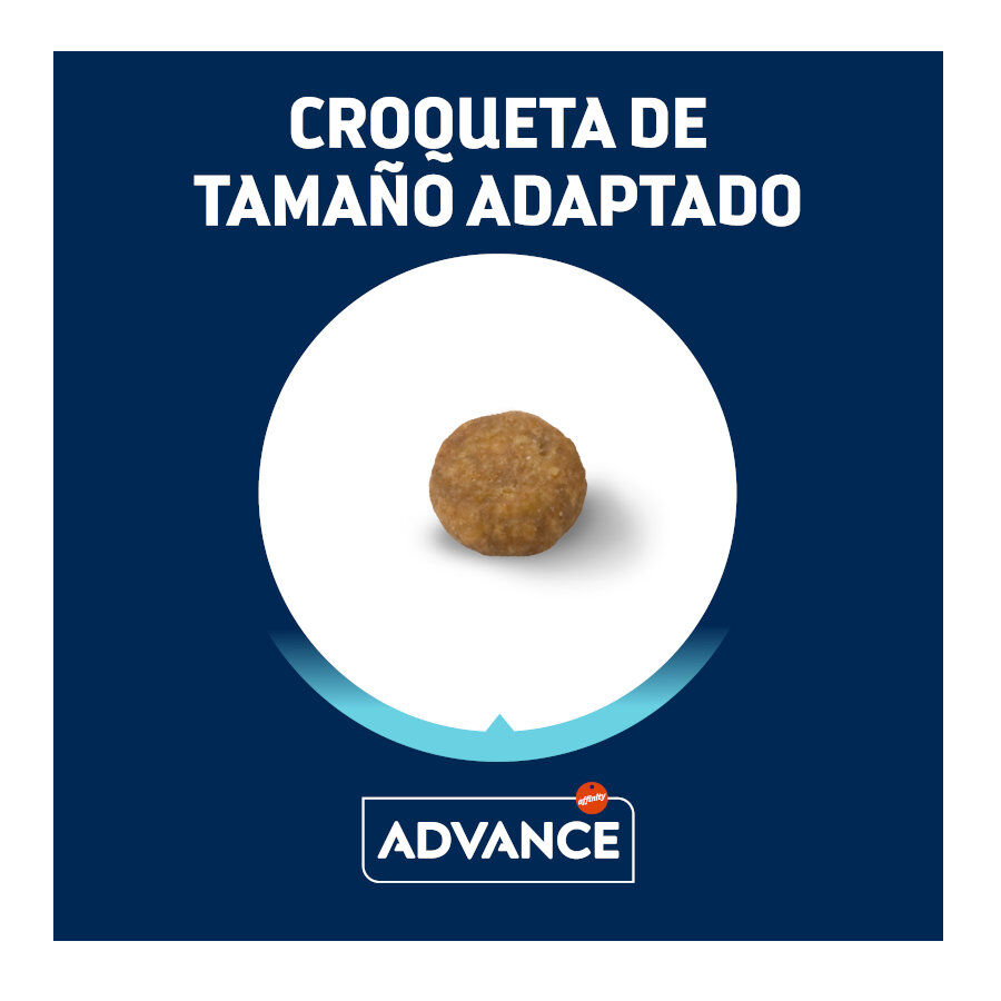 Advance Active Defense Mini Puppy Frango ra&ccedil;&atilde;o para c&atilde;es, , large Imagem n&uacute;mero 2