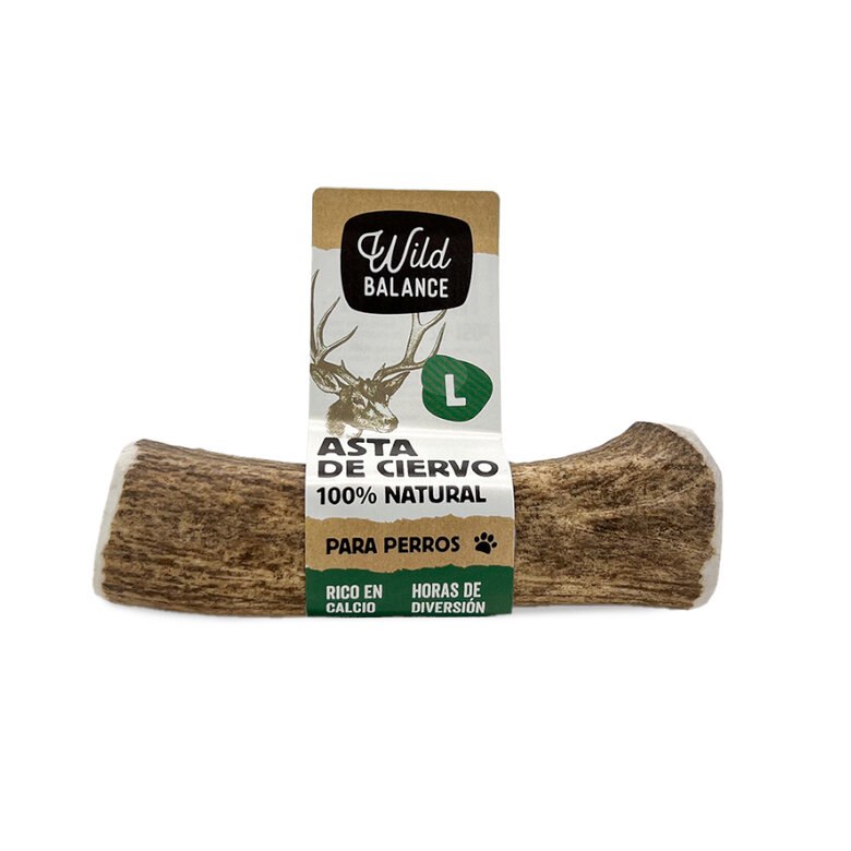 L Wild Balance Chifre de Cervo inteiro mastigador para cães,  Imagem número 1 L Wild Balance Chifre de Cervo inteiro mastigador para cães, , large Imagem número 1