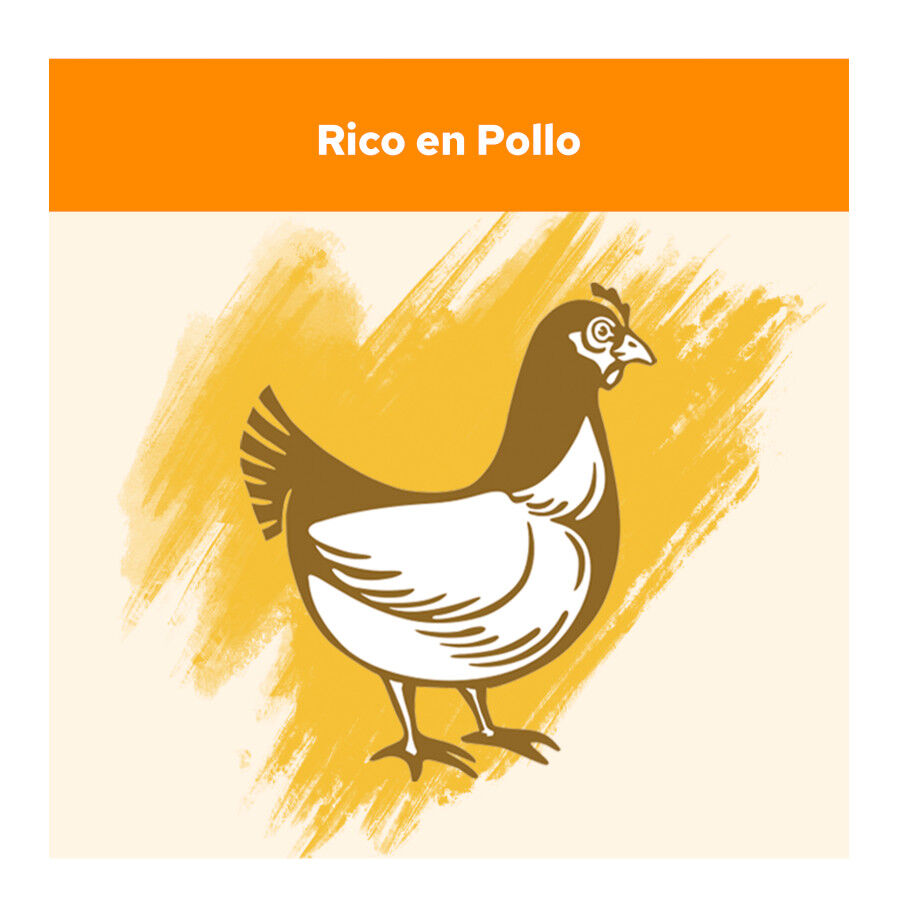 15 kg Cat Chow Adulto Frango ra&ccedil;&atilde;o para gatos, , large Imagem n&uacute;mero 3