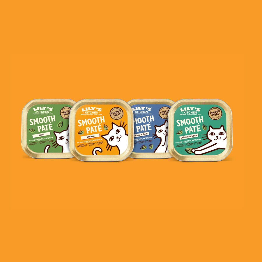 8 terrinas x 85 g Lily's Kitchen Feline Smooth Selection pat&ecirc; terrinas - Multipack, , large Imagem n&uacute;mero 3