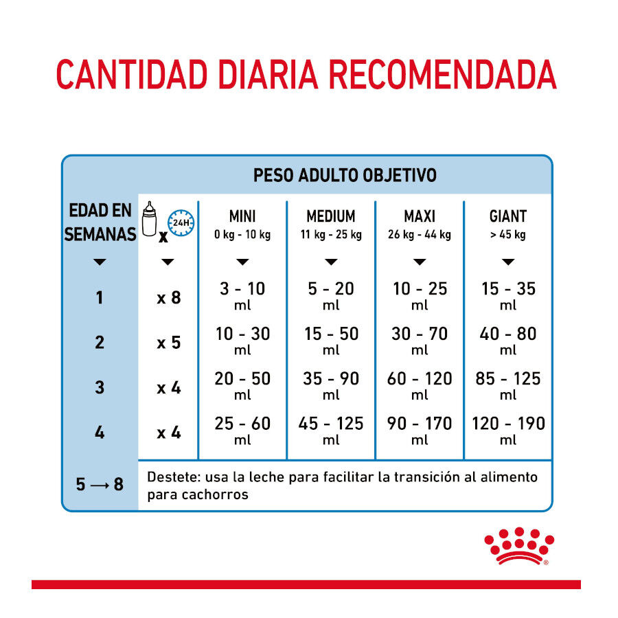 2 kg Royal Canin Leite para o primeiro ano de cachorros, , large Imagem n&uacute;mero 8