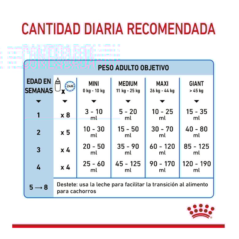 400 g Royal Canin Leite para o primeiro ano de cachorros,  Imagem número 8 400 g Royal Canin Leite para o primeiro ano de cachorros, , large Imagem número 8