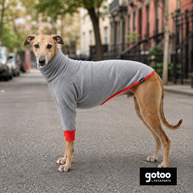 Gotoo Camisola Cinzenta para galgos