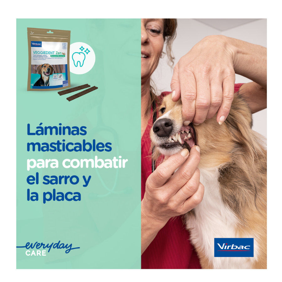 15 sticks Virbac L&aacute;minas Veggiedent Zen S para c&atilde;es, , large Imagem n&uacute;mero 4