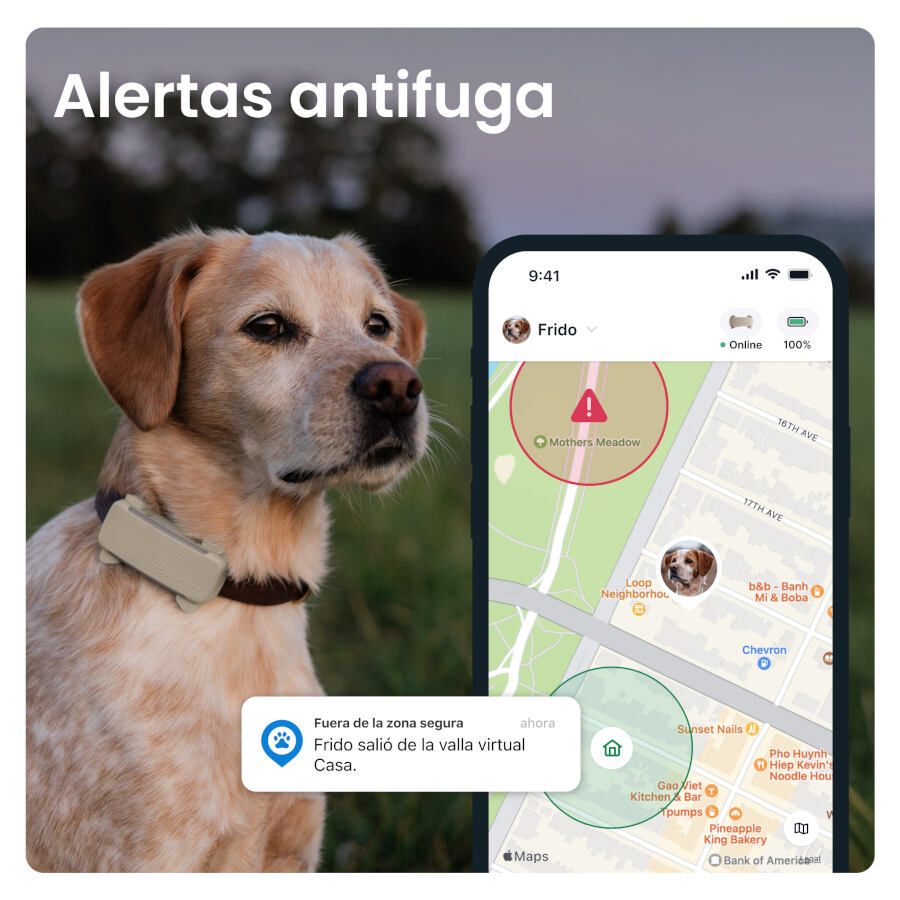 Tractive GPS Dog 6 Rastreador Mint de c&atilde;es , , large Imagem n&uacute;mero 10