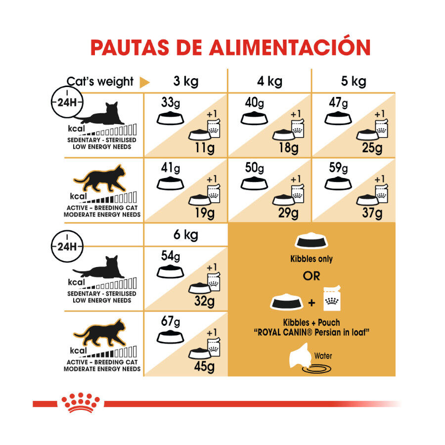 10 kg Royal Canin Persa ra&ccedil;&atilde;o para gatos adultos, , large Imagem n&uacute;mero 8