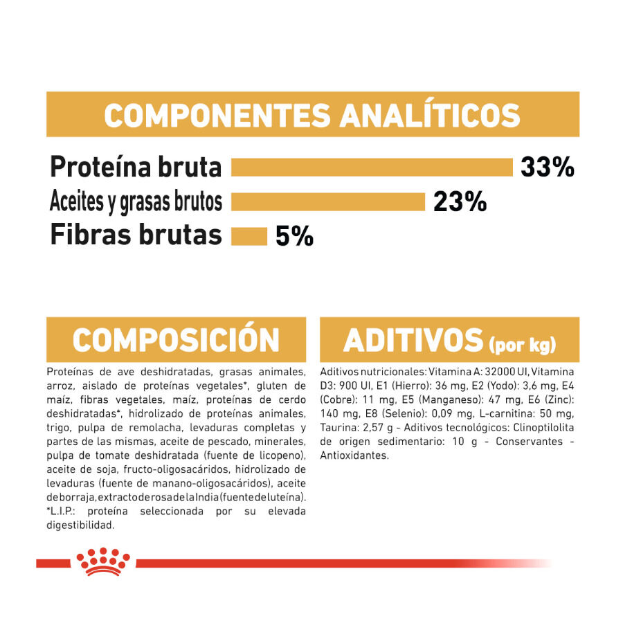 10 kg Royal Canin Adult Sphynx ra&ccedil;&atilde;o para gatos, , large Imagem n&uacute;mero 7