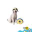 Summer Vibes Plush Oval Brinquedo para c&atilde;es, , large Indicador imagem n&uacute;mero 7