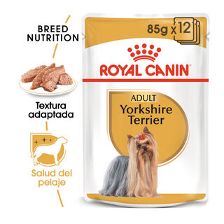 Royal Canin Yorkshire Terrier saqueta para cãe