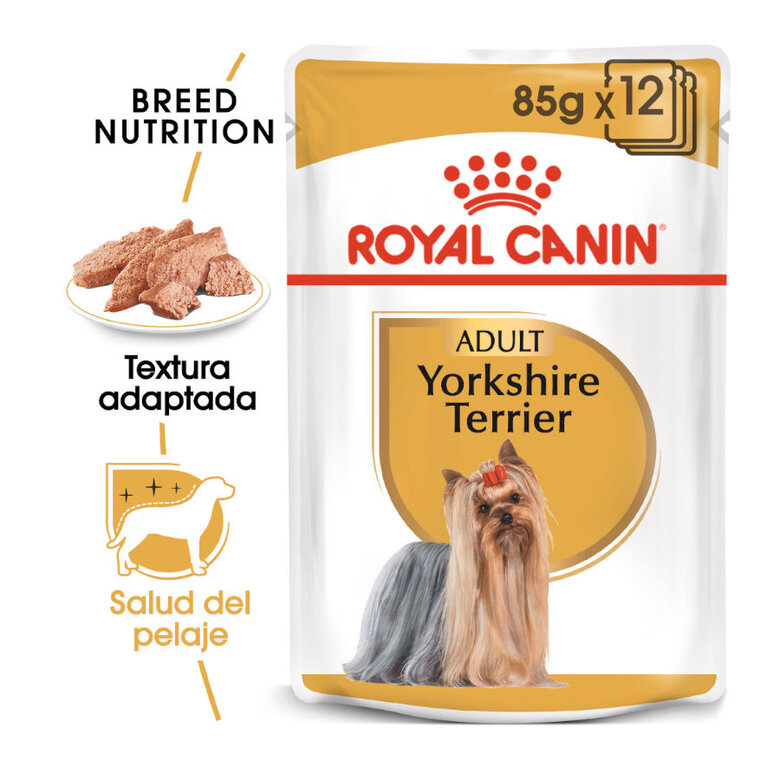 85 g Royal Canin Yorkshire Terrier saquetas para cães ,  Imagem número 2 85 g Royal Canin Yorkshire Terrier saquetas para cães , , large Imagem número 2
