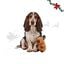 Wonder Christmas capivara Peluche para c&atilde;es, , large Indicador imagem n&uacute;mero 1