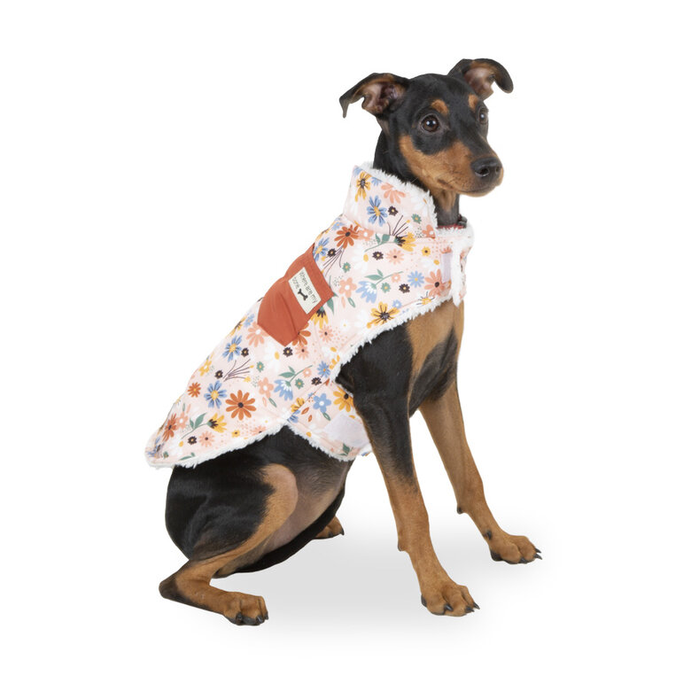 Outech Spring casaco de flores para cães, , large image number null