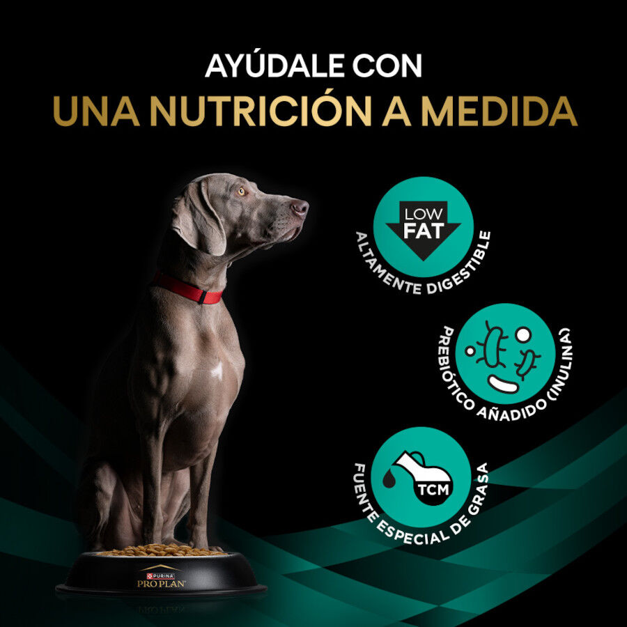 11 Kg Pro Plan Veterinary Gastrointestinal Low Fat Ra&ccedil;&atilde;o para c&atilde;es, , large Imagem n&uacute;mero 3