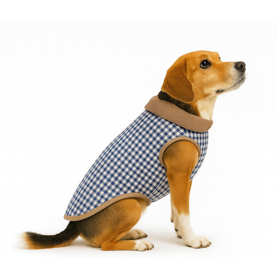 Outech Casaco Bomber Vichy Navy para c&atilde;es, , large Imagem n&uacute;mero 4