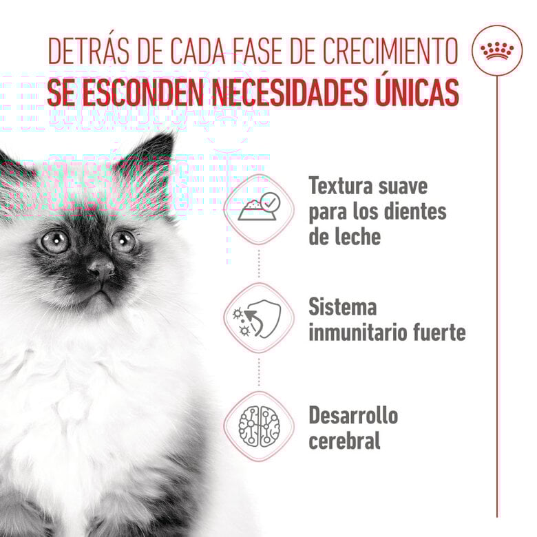 85 g Royal Canin Kitten patê em saquetas para gatos,  Imagem número 3 85 g Royal Canin Kitten patê em saquetas para gatos, , large Imagem número 3