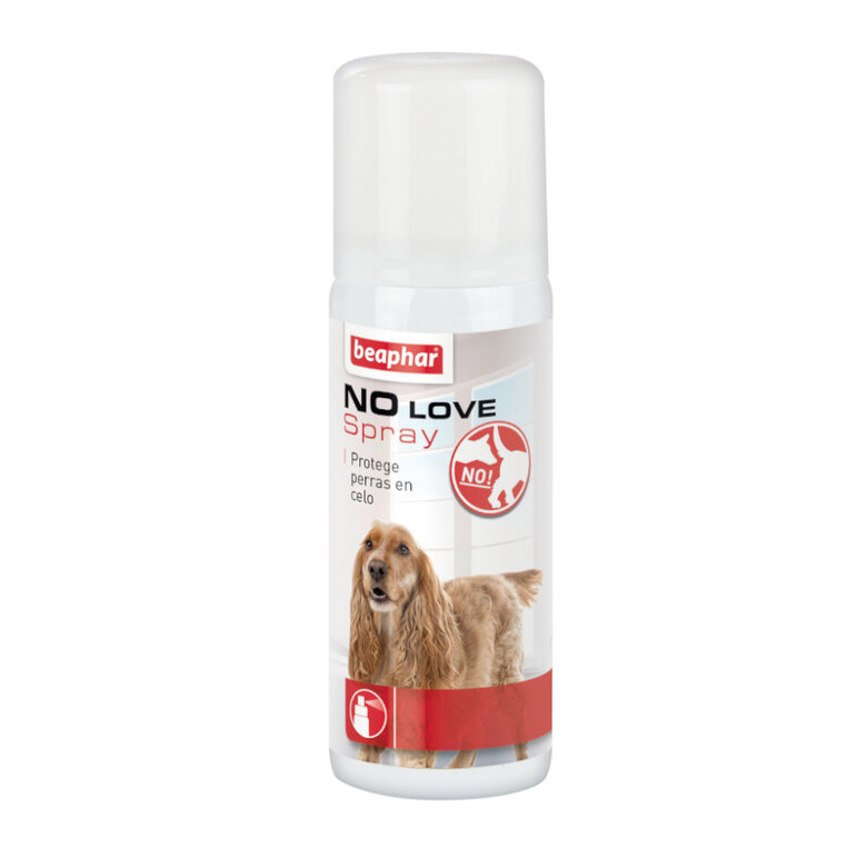 Beaphar spray anticelo para perras image number null
