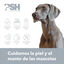 PSH Sensitive Champô para cães e gatos, , large Indicador imagem número 4