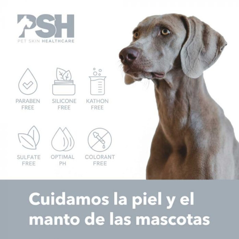 PSH Sensitive Champô para cães e gatos,  Imagem número 4 PSH Sensitive Champô para cães e gatos, , large Imagem número 4