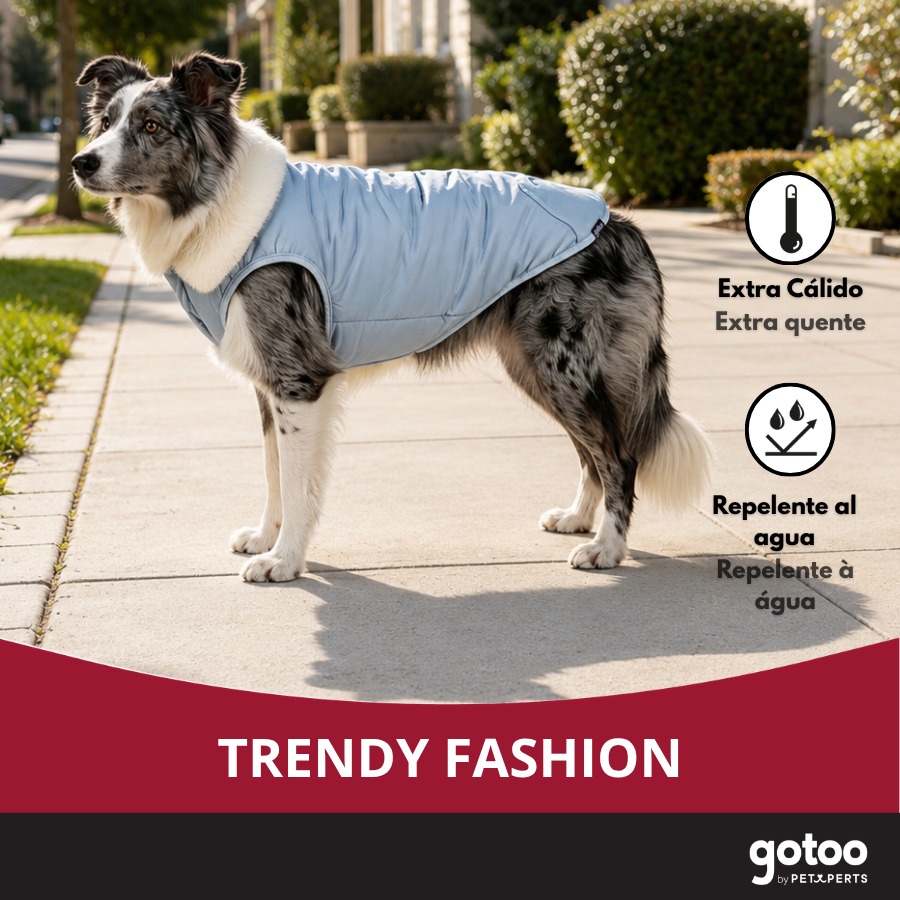 Gotoo Casaco Azul-Claro para c&atilde;es, , large Imagem n&uacute;mero 6
