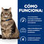 12 saquetas x 85 g Hill's Prescription Diet Feline GI Biome Digestive Care Frango e Legumes em molho Saqueta, , large Indicador imagem número 2